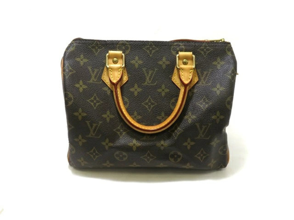LOUIS VUITTON Speedy Monogram Handbag